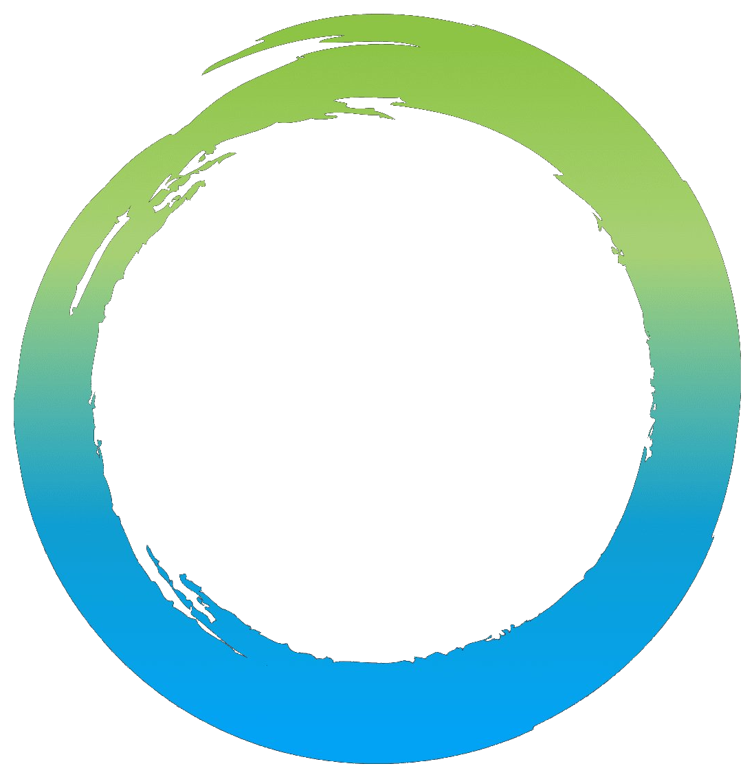 The Dry Cleaning Co. logo